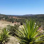 Sole E Sale 2