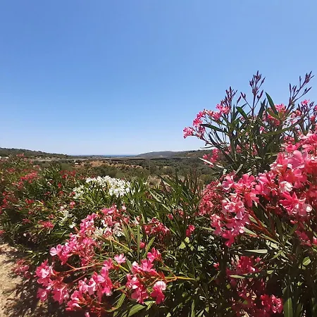 Sole E Sale 2 3* サン・テオドーロ