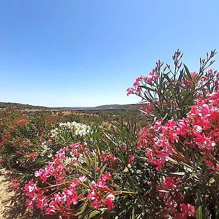 Sole E Sale 2 3* San Teodoro